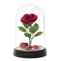 T4U00238 Die Schöne und das Biest - Lampe Verzauberte Rose_5.jpg