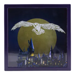 Harry Potter Spardose Hedwig_2.jpg