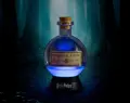 T4U00615 Harry Potter Potion Lamp large_2.jpeg