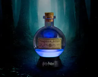 T4U00615 Harry Potter Potion Lamp large_2.jpeg