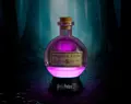 T4U00615 Harry Potter Potion Lamp large_4.jpeg