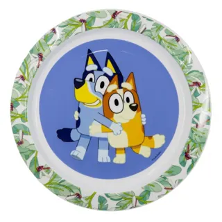 plato-micro-bluey.jpg