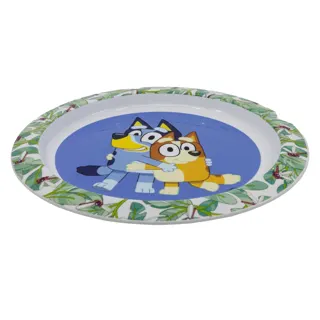 plato-micro-bluey_2.jpg