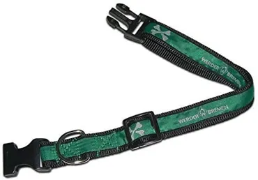 SV Werder Bremen Hundehalsband WB groß 45x60