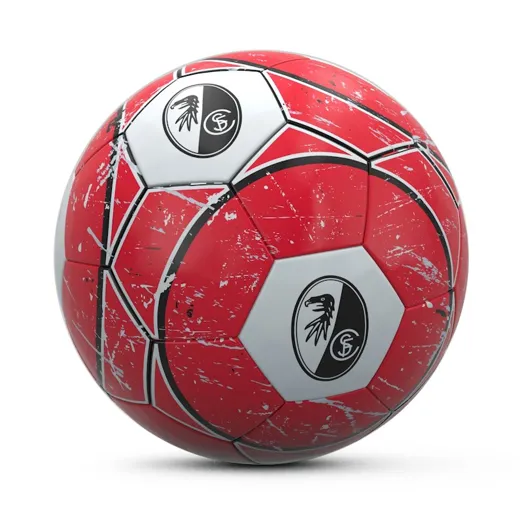 SC Freiburg Fußball 5