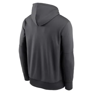 san-francisco-49ers-nike-logo-therma-hoodie-5021363-2.jpg