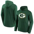 green-bay-packers-primary-logo-graphic-hoodie-5300794-1.jpg