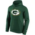 green-bay-packers-primary-logo-graphic-hoodie-5300794-2.jpg