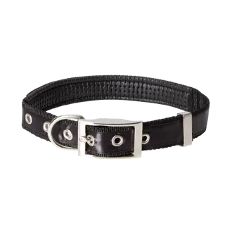 borussia-mgladbach-hundehalsband-gro-45-60cm-1021030-2.png