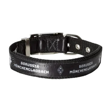 Borussia M'Gladbach Hundehalsband klein 30-45cm