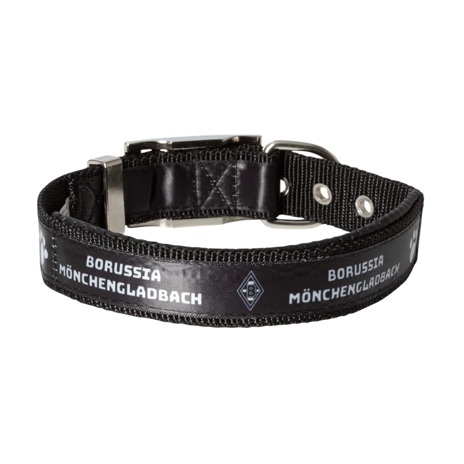Borussia M'Gladbach Hundehalsband klein 30-45cm
