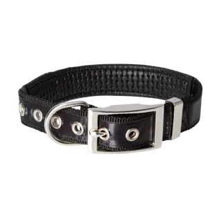 borussia-mgladbach-hundehalsband-klein-30-45cm-1021029-2.png