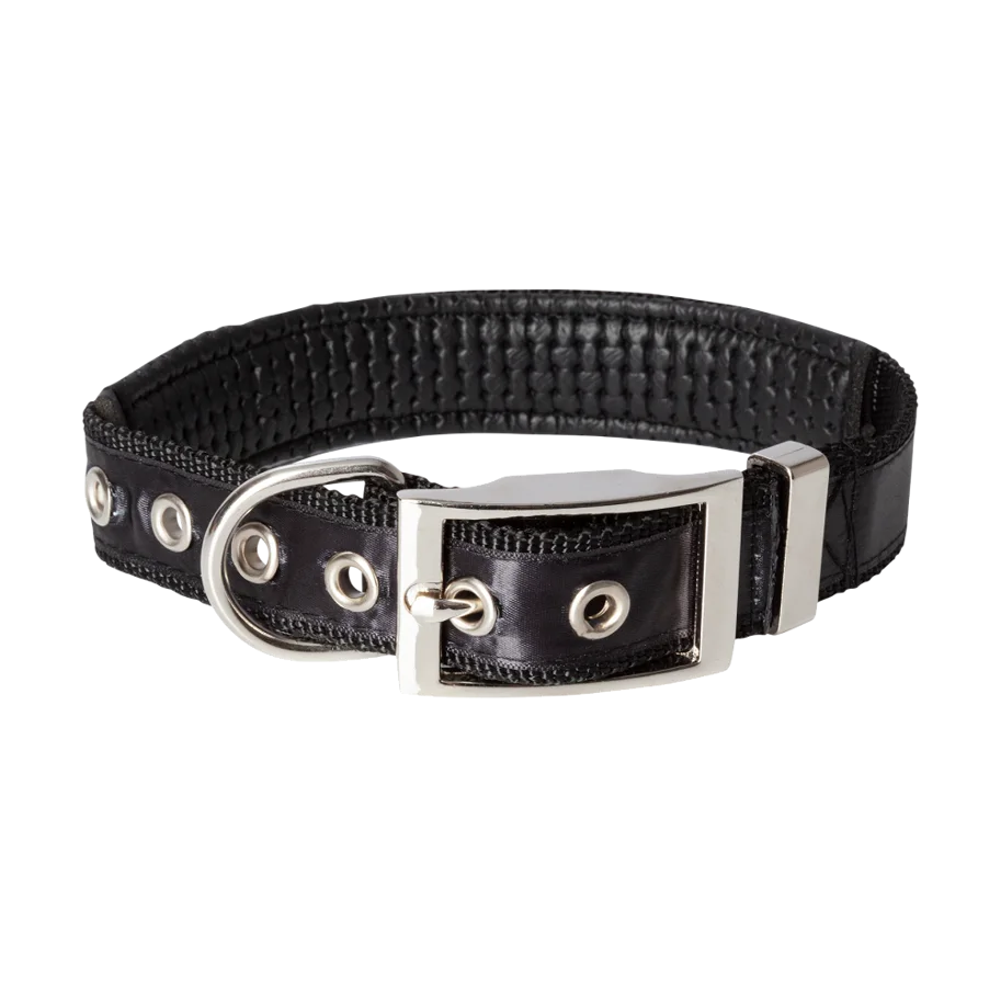 Borussia M'Gladbach Hundehalsband klein 30-45cm