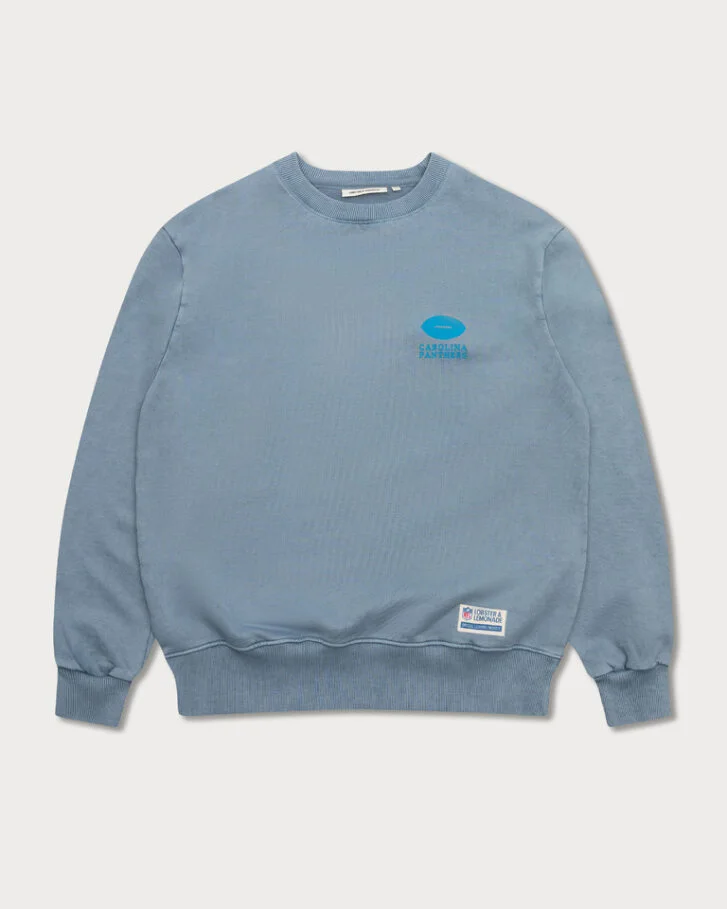Carolina Panthers 96 Box Sweater gray XL