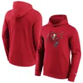 tampa-bay-buccaneers-primary-logo-graphic-hoodie-s-5300829-1.jpg