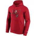 tampa-bay-buccaneers-primary-logo-graphic-hoodie-s-5300829-2.jpg