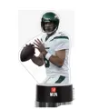 new-york-jets-led-light-player-rogers-2023279-2.jpg