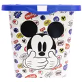 caja-click-7-l-its-a-mickey-thing_4.jpg