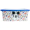 caja-click-13-l-its-a-mickey-thing_2.jpg