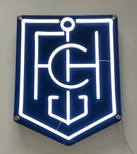 Hansa Rostock Tube LED-Licht FCH 35x27x2 cm